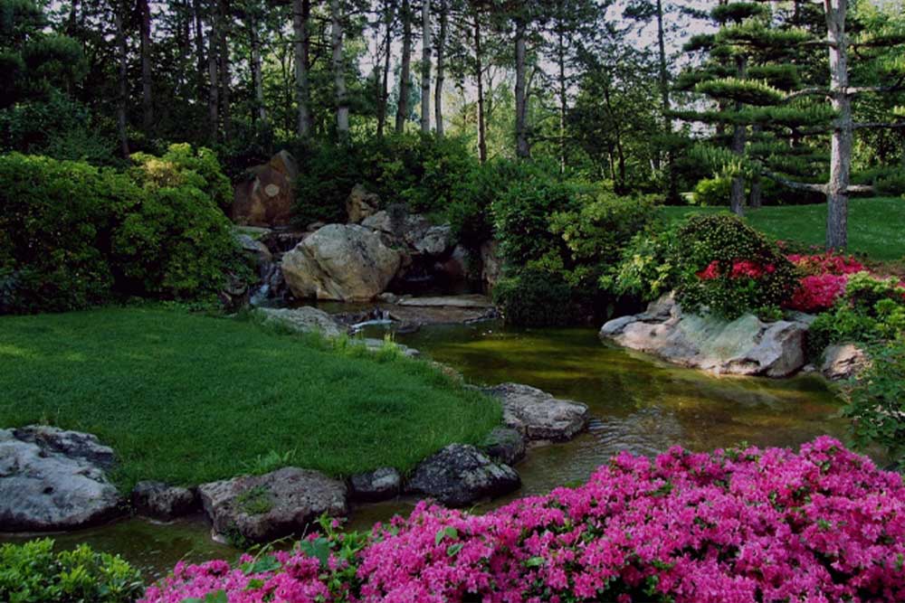 Effective Tips for Gardens Landscaping